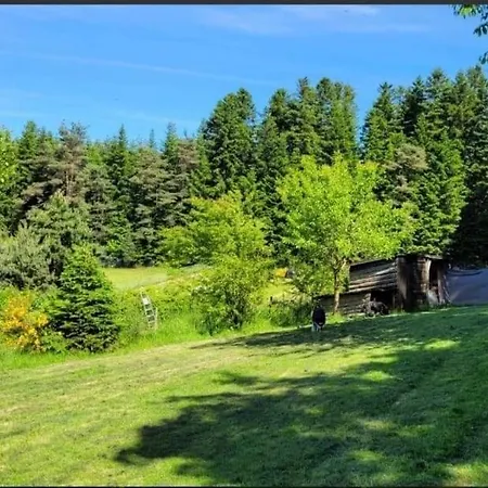 La Coquette Du Bois - Wifi, Cosy, Familial, Calme, Bord De Foret Holiday home *