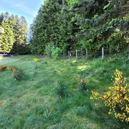 La Coquette Du Bois - Wifi, Cosy, Familial, Calme, Bord De Foret Chenereilles