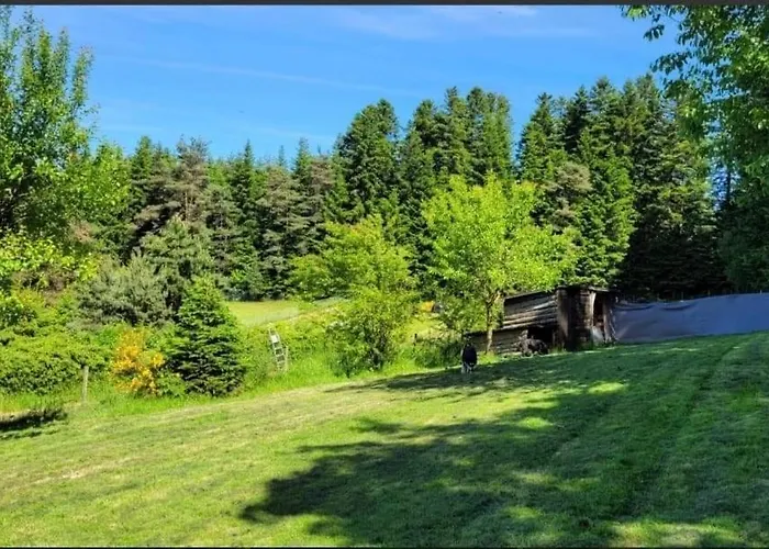 La Coquette Du Bois - Wifi, Cosy, Familial, Calme, Bord De Foret Ferienhaus *