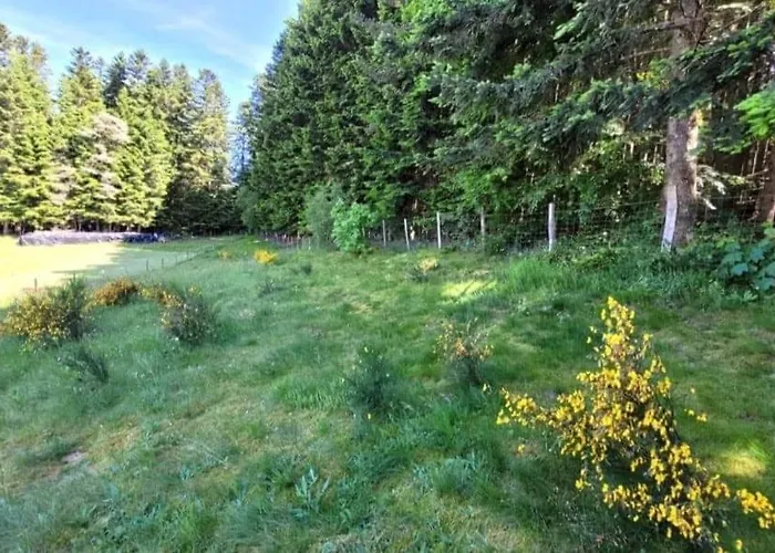 La Coquette Du Bois - Wifi, Cosy, Familial, Calme, Bord De Foret Chenereilles